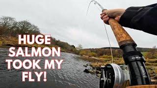 HUGE salmon took my fly... | Salmon Fishing at Kalzie, Scotland