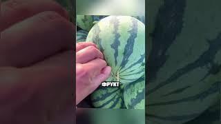 Этот парень настоящий гений