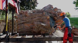 Sawing a Part of the Biggest Sugar Maple in New York | Sawmill