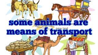 some animals are means of transport | animals transport |animals cart|#subscribe | #2023 | #youtube