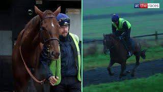 The defending champs! A morning with Jamie Snowden and 2024 Coral Gold Cup contender Colonel Harry!