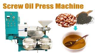 High capacity screw oil press machine from Taizy! Edible oil expeller for commercial use