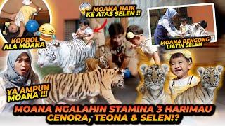 RIA RICIS DAN MOANA HAPPY MAEN BARENG TIGER ! MOANA SAMPE KOPROL !