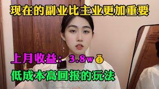 【副业推荐】现在的副业比主业更加重要，上月收益：3.8w，低成本高回报的玩法！#tiktok #tiktok赚钱 #tiktok干货 #副业