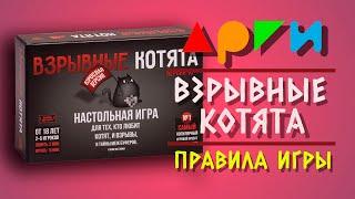 Настольная игра "ВЗРЫВНЫЕ КОТЯТА" | Правила игры | Видео-обучение АРГИ