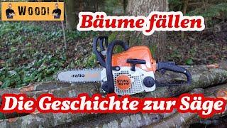 Stihl MS 170 im Wald - Bäume fällen - Die Geschichte zur Motorsäge - Woodi