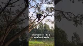 unique things that happen