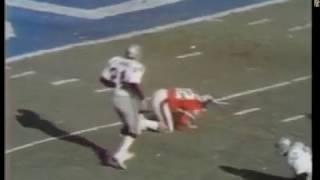 1976 AFC Championship (January '77) Dolbin catch/no catch?