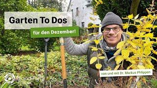 Garten To-Dos im Dezember – Baumschnitt, Stauden teilen, Frostschutz | gardify Tipps