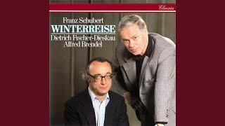 Schubert: Winterreise, D.911 - 16. Letzte Hoffnung