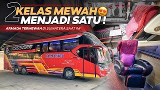 LAYANAN TERMEWAH DI SUMATERA‼️ Suites Combi Tronton Scania K410CB | Trip Halmahera Pekanbaru - Medan