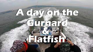 A day on the Gurnard and Flatfish