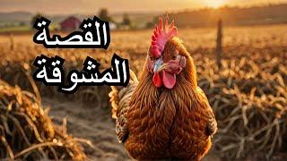 قصة الدجاجة الحمراء #قصص الاطفال #اكسبلور