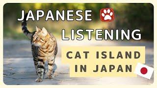 【Japanese Listening with Subtitle】CAT ISLAND in Japan