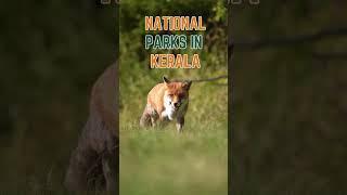 National Parks in Kerala [National Parks of India] #nationalparksinindia #nationalparksofindia