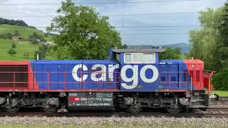 SBB Cargo Am 843 089 Lokzug bei Immensee