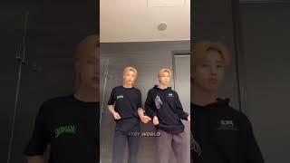 Stray Kids Felix | Han jisung | Tiktok challenge