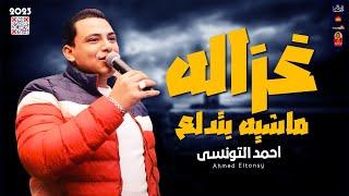 موال 2023 - احمد التونسى 2023 - غزالة وماشيه بتدلع 2023 - باقوى احساس 2023