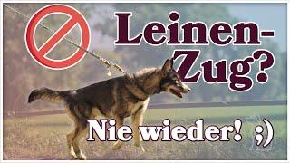 Leinenführung trainieren ► Schritt für Schritt erklärt - So lernt dein Hund es GARANTIERT