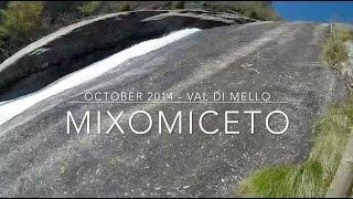 Val di Mello - Mixomiceto