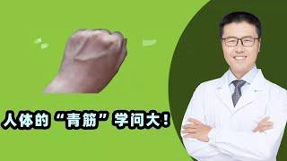 人体的“青筋”学问大｜【老安谈健康】