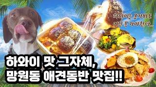 꼭 가봐야할 망원 애견동반 맛집