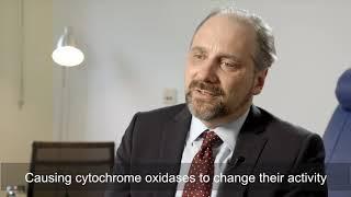 When should selenium be used in cancer patients? Interview with Dr. Wagner | biosyn English Subtitel