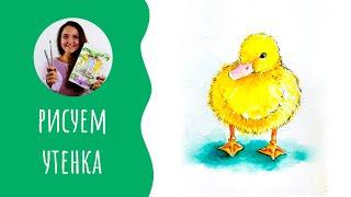 Как нарисовать уточку. Урок рисования. Скетчинг для начинающих.