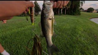 Some top water blow ups fishing with Joseph