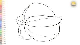 Carambola or Star fruit outline drawing easy | How to draw Star fruit step by step | Outline drawing