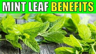 10 Powerful Health Benefits of Mint Leaves YOU CAN'T IGNORE