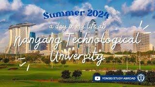 A Day in the Life of an Exchange Student at NTU │2024 Summer VLOG#19 