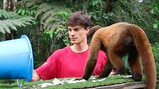 I Fed Endangered Woolly Monkeys in Ecuador