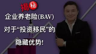 揭秘 德国企业养老险(BAV)对于投资移民的隐藏优势！