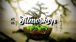 Background Music   Zen by Filmoskop