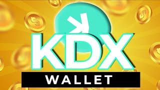 Official Kaspa KDX Wallet (Easy Setup!)