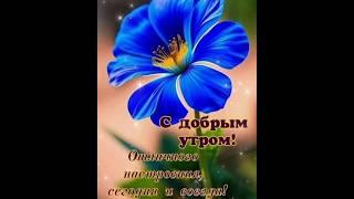 Доброе утро Пусть новый день принесёт изобилие, любовь, радость, мир, позитив и счастье ...