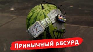 Привычный абсурд