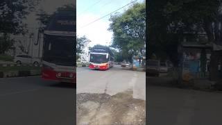 BUS ACEH‼️SLEEPER BUS HARAPAN INDAH