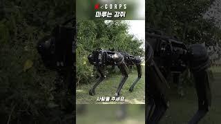 우리 로봇 개는 안 물어요. 마루는 강쥐 챌린지 [ Super cute robot dog Maru challenge ] #kcorps #military #마루챌린지