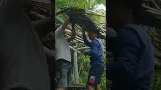 Repair old nipa hut roof leaves whole day work 1 minutes timelapse #shorts #homerepair #nipahut