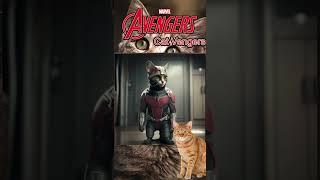 ANTMAN CATVENGERS