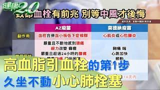 高血脂是形成血栓的第1步 久坐不動小心肺栓塞 健康2.0