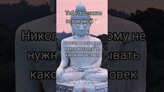 Принимай в комментариях с щедростью, БЛАГО ДАРЯ из любви к СЕБЕ  #жизнь  #счастье