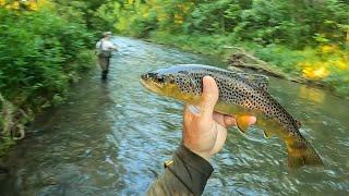 Wisconsin Trout Fishing - 6/26/2024