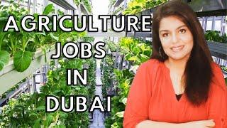 AGRICULTURE JOBS IN UAE. Scope of Agriculture profession in Dubai.