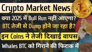 Crypto Market News- क्या 2025 में Bull Run नहीं आयेगा | इन Coins ने तेजी दिखाई | Whales का गन्दा खेल