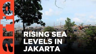 Indonesia: Jakarta is Sinking | ARTE.tv Documentary