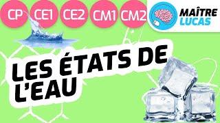 Les différents états de l'eau CE2 - CP - CE1 - CM1 Cycle 2 - Cycle 3 - Sciences Questionner le monde