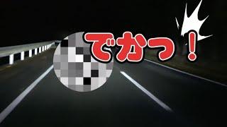 【古民家で叫ぶ】深夜の山道で野生動物探索